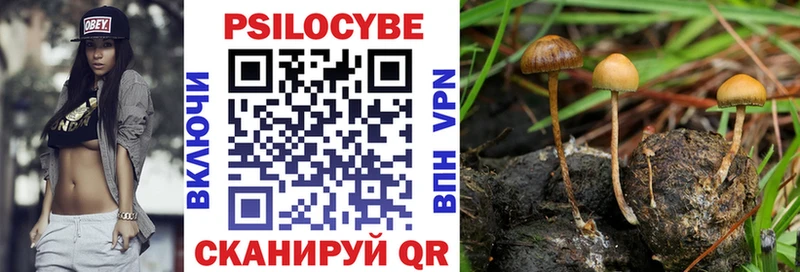 Псилоцибиновые грибы мицелий  Нижние Серги 